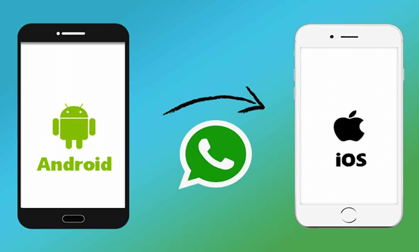 Android to IOS Whatsapp Data Transfer Service Provider in Delhi
