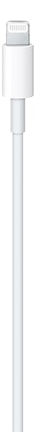 Apple USB-C Lightning Cable