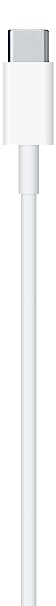 Apple USB-C Lightning Cable