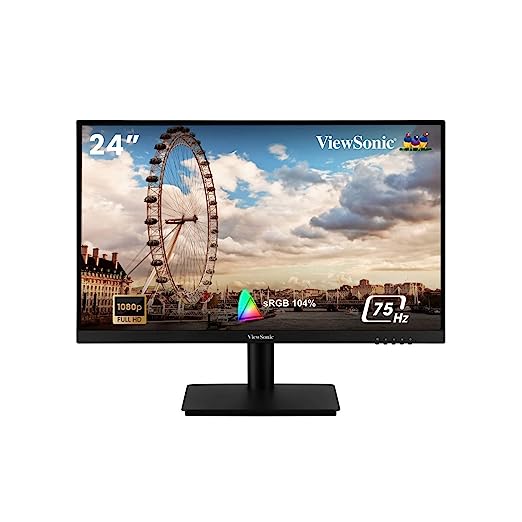 ViewSonic VA2406-H Full HD Monitor